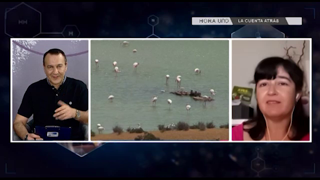 Hora Uno La Cuenta Atrás 4/06/2020